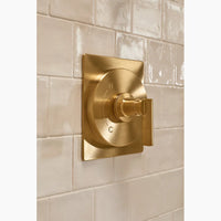 CASTIA™ TEMP SHOWER TRIM KIT BY STUDIO MCGEE - robinsonco.ca