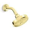 LAURA KIRAR AIR-INDUCTION SHOWERHEAD WITH ARM - robinsonco.ca