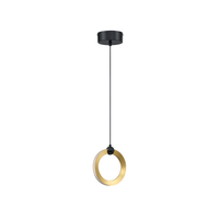 CIRCOLS LED PENDANT