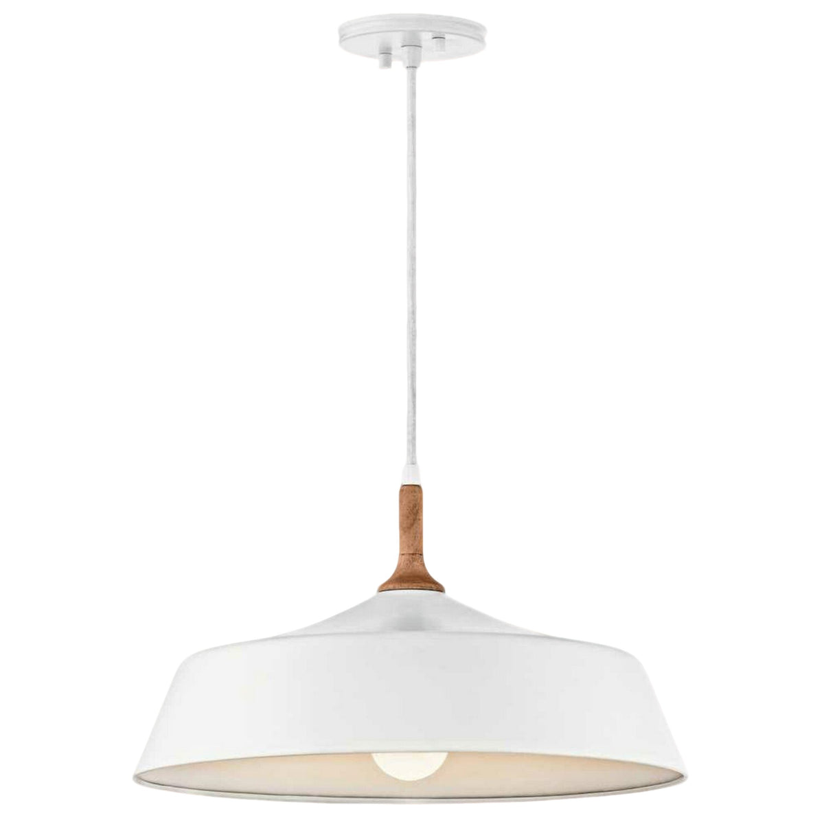 DANIKA 1-LIGHT PENDANT - robinsonco.ca