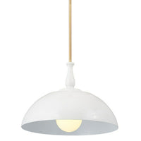 FIRA 1 LIGHT PENDANT - robinsonco.ca