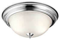 CEILING SPACE 2-LIGHT FLUSH MOUNT CEILING LIGHT