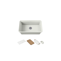 Audrine™ undermount single-bowl kitchen sink with accessories by Kohler