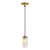 ARTIFACTS 1-LIGHT PENDANT