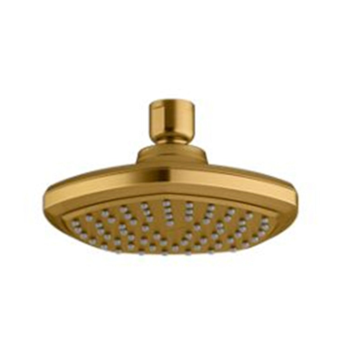 OCCASION SINGLE-FUNCTION SHOWERHEAD