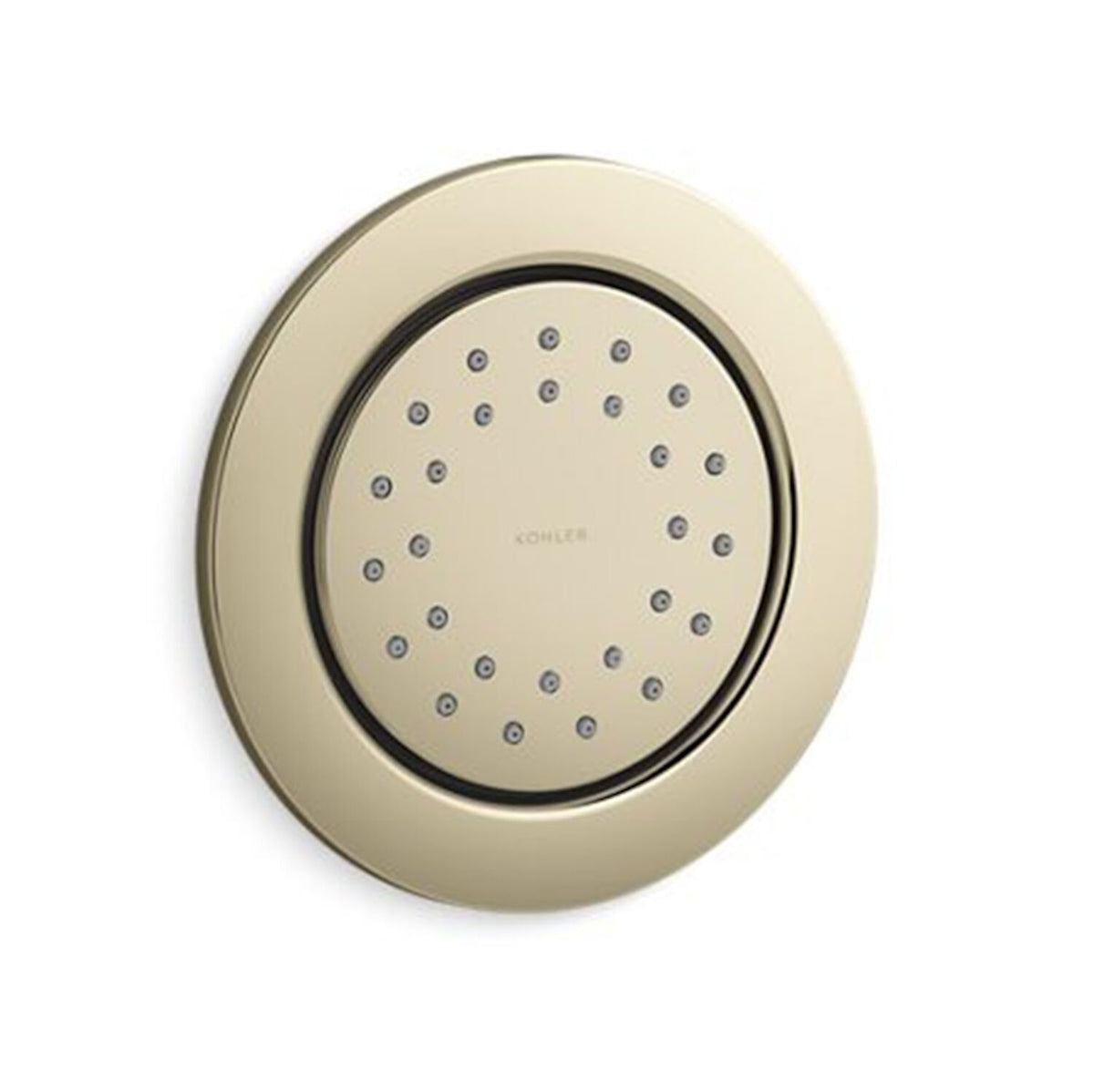 WATERTILE ROUND 27-NOZZLE SINGLE-FUNCTION BODY SPRAY, 1.0 GPM - robinsonco.ca