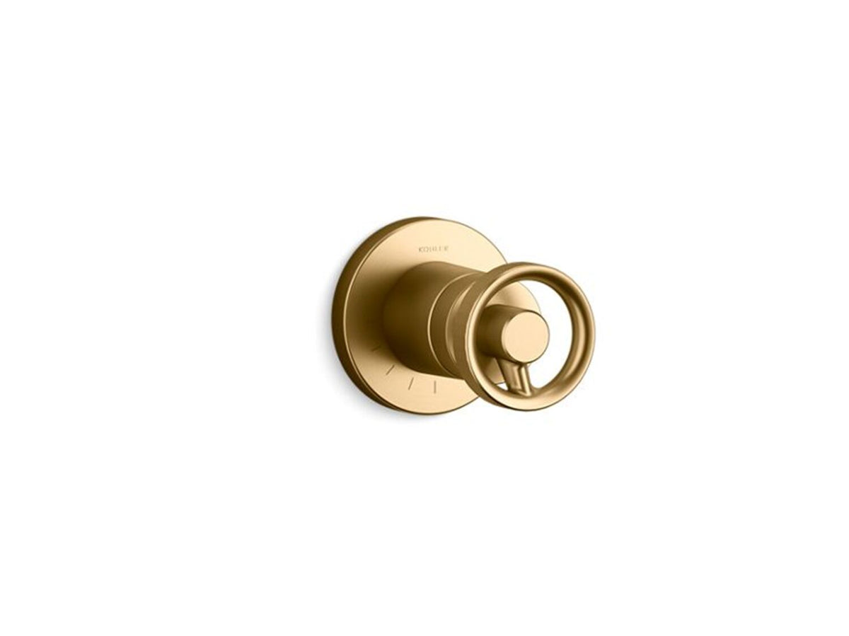COMPONENTS MASTERSHOWER VOLUME CONTROL VALVE TRIM WITH INDUSTRIAL HANDLE - robinsonco.ca
