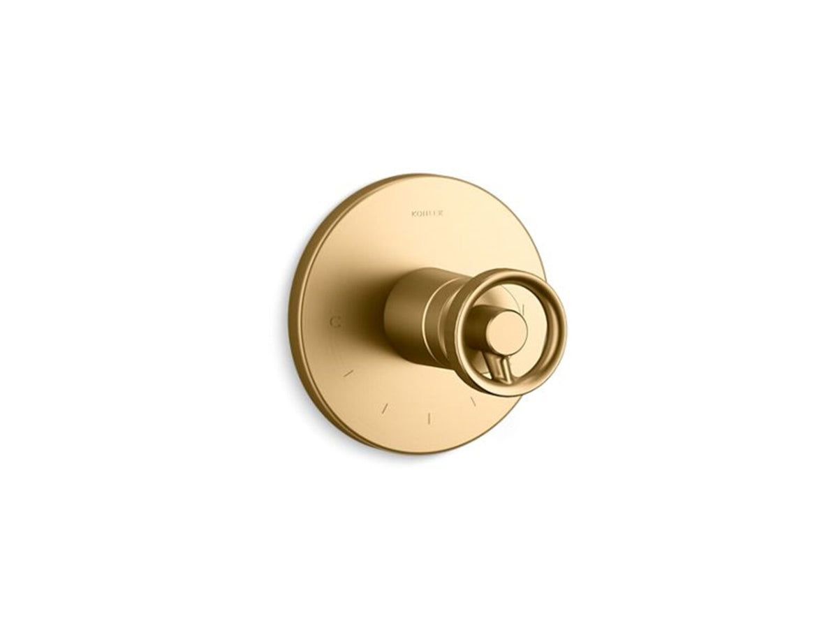 COMPONENTS MASTERSHOWER TEMPERATURE CONTROL VALVE TRIM WITH INDUSTRIAL HANDLE - robinsonco.ca