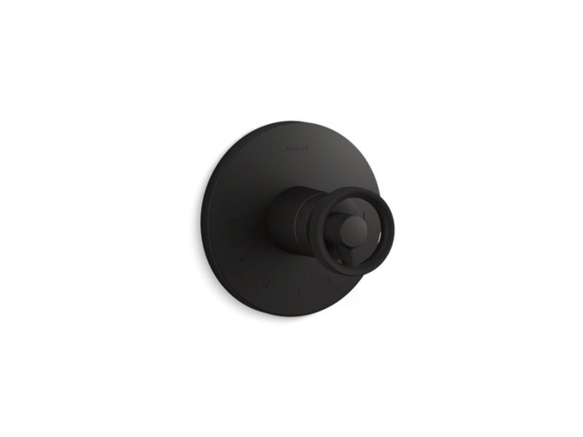 COMPONENTS MASTERSHOWER TEMPERATURE CONTROL VALVE TRIM WITH INDUSTRIAL HANDLE - robinsonco.ca