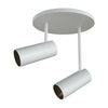 DOWNEY 2 LIGHT LED SPOT LIGHT - robinsonco.ca