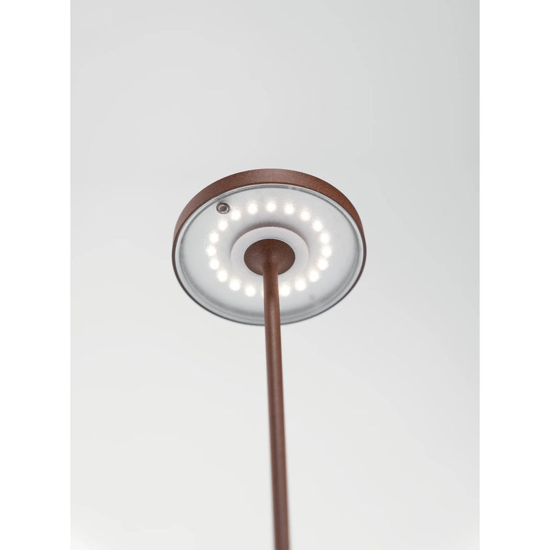 POLDINA PRO UPSIDE DOWN TABLE LAMP - robinsonco.ca