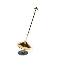 PINA PRO TABLE LAMP - robinsonco.ca