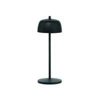 THETA PRO PORTABLE TABLE LAMP - robinsonco.ca