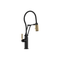 LITZE® ARTICULATING FAUCET WITH FINISHED HOSE - robinsonco.ca