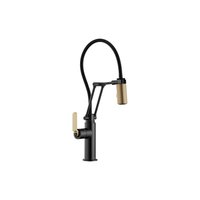 LITZE® ARTICULATING FAUCET WITH INDUSTRIAL HANDLE - robinsonco.ca