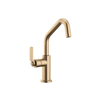 LITZE® BAR FAUCET WITH ANGLED SPOUT AND INDUSTRIAL HANDLE - robinsonco.ca
