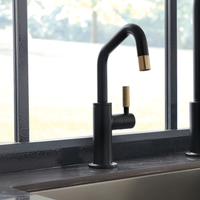 LITZE® BEVERAGE FAUCET WITH ANGLED SPOUT AND KNURLED HANDLE - robinsonco.ca