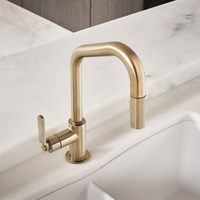 LITZE® PULL-DOWN FAUCET WITH ANGLED SPOUT AND INDUSTRIAL HANDLE - robinsonco.ca