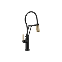 LITZE® SMARTTOUCH® ARTICULATING FAUCET WITH FINISHED HOSE - robinsonco.ca