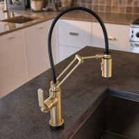 LITZE® SMARTTOUCH® ARTICULATING FAUCET WITH INDUSTRIAL HANDLE - robinsonco.ca