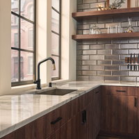 LITZE® SMARTTOUCH® PULL-DOWN FAUCET WITH ANGLED SPOUT AND KNURLED HANDLE - robinsonco.ca