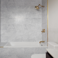 LITZE® TEMPASSURE® THERMOSTATIC VALVE WITH 3-FUNCTION DIVERTER TRIM - LESS HANDLES - robinsonco.ca