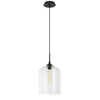 IRRESISTIBLE ORGANIC CHARM 1-LIGHT PENDANT