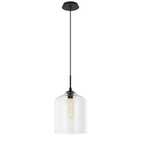 IRRESISTIBLE ORGANIC CHARM 1-LIGHT PENDANT