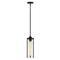 BAYOU 1 LIGHT PENDANT - robinsonco.ca
