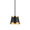 CASKE 1 LIGHT PENDANT - robinsonco.ca