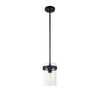 ZALE 1 LIGHT PENDANT - robinsonco.ca