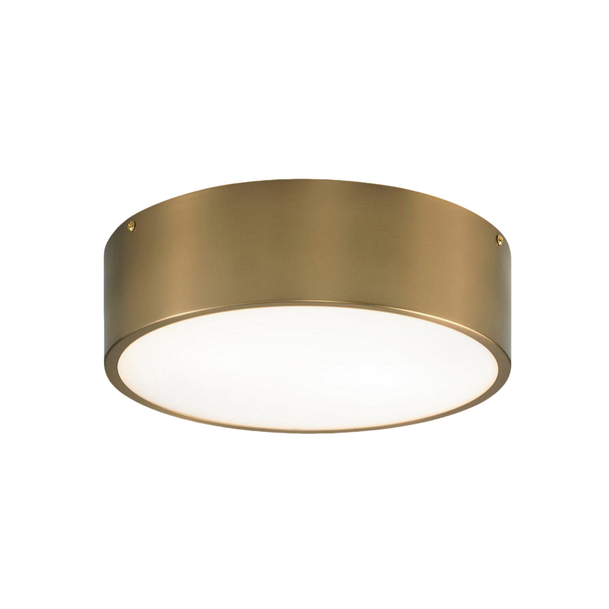 SNARE 12" 2 LIGHT FLUSH MOUNT - robinsonco.ca