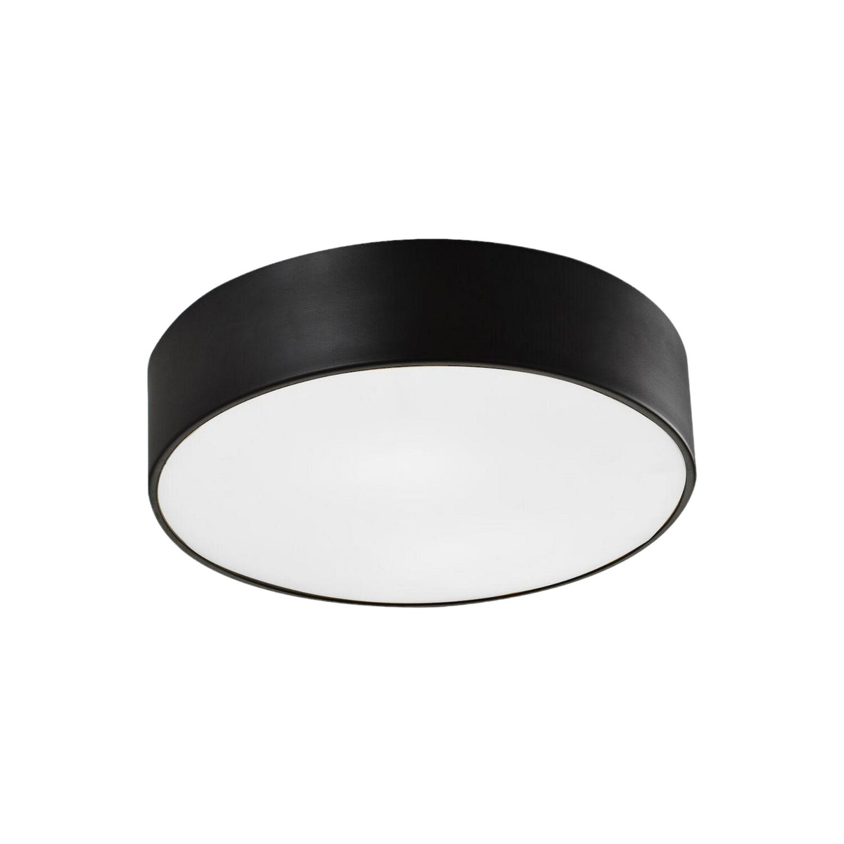 SNARE 12" 2 LIGHT FLUSH MOUNT - robinsonco.ca