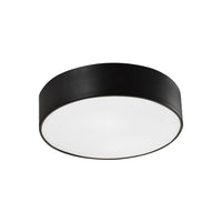 SNARE 12" 2 LIGHT FLUSH MOUNT - robinsonco.ca