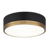 TRYDOR 12" 2 LIGHT FLUSH MOUNT - robinsonco.ca