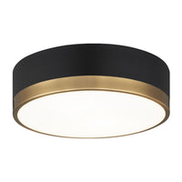 TRYDOR 12" 2 LIGHT FLUSH MOUNT - robinsonco.ca