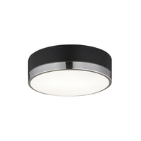 TRYDOR 12" 2 LIGHT FLUSH MOUNT - robinsonco.ca