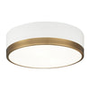 TRYDOR 12" 2 LIGHT FLUSH MOUNT - robinsonco.ca