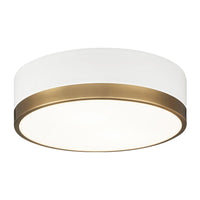 TRYDOR 12" 2 LIGHT FLUSH MOUNT - robinsonco.ca