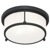 CAISSE CLAIRE 2 LIGHT 11.3" FLUSH MOUNT - robinsonco.ca