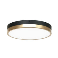 TONE 12" LED FLUSH MOUNT - robinsonco.ca