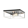 CLARKE 2 LIGHT SQUARE FLUSH MOUNT - robinsonco.ca