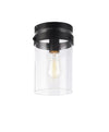 ZALE 1 LIGHT FLUSH MOUNT - robinsonco.ca
