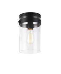 ZALE 1 LIGHT FLUSH MOUNT - robinsonco.ca