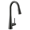 SLEEK VOICE ACTIVATED SINGLE-HANDLE PULL DOWN SMART FAUCET - robinsonco.ca