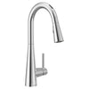 SLEEK VOICE ACTIVATED SINGLE-HANDLE PULL DOWN SMART FAUCET - robinsonco.ca