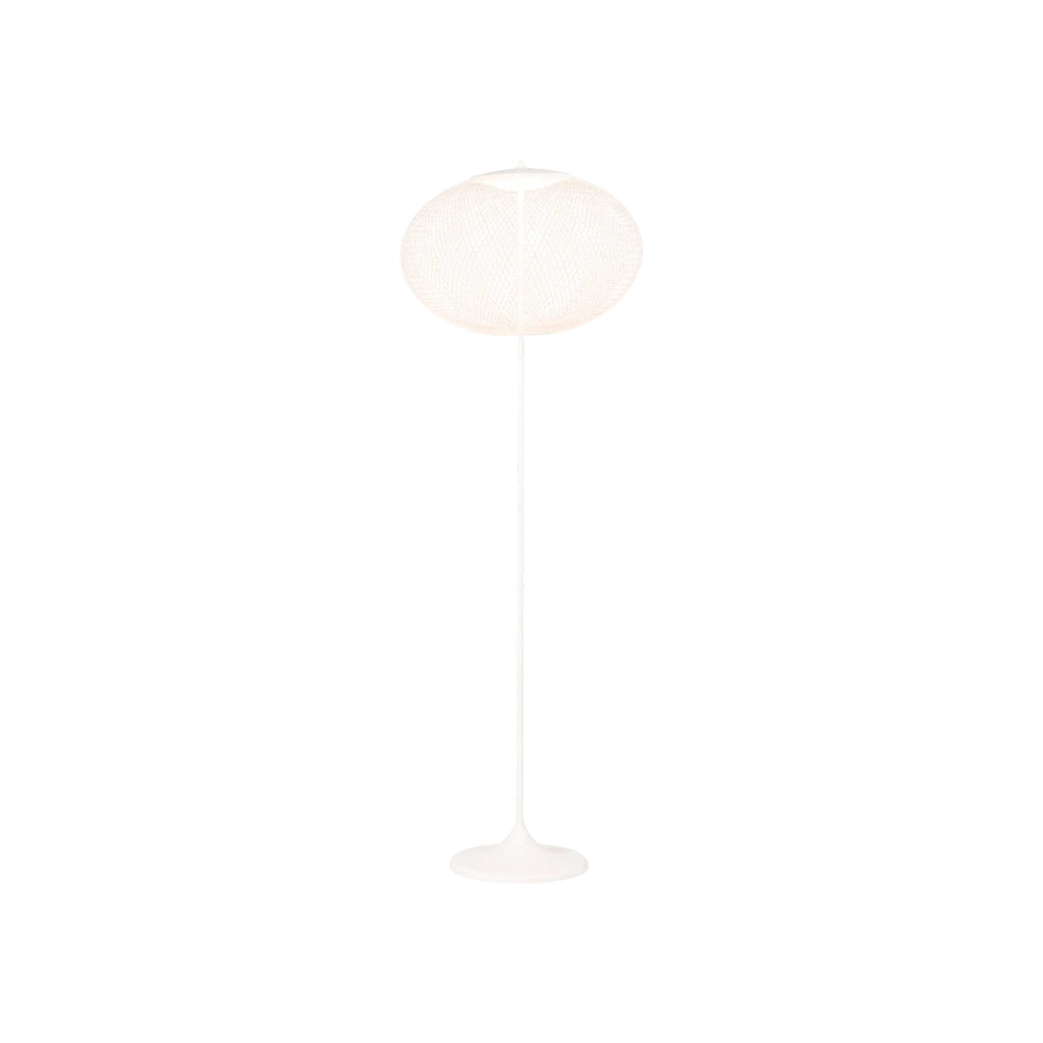 White NR2 floor lamp by Moooi