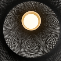 Close-up of a Non Random pendant light with a black mesh design