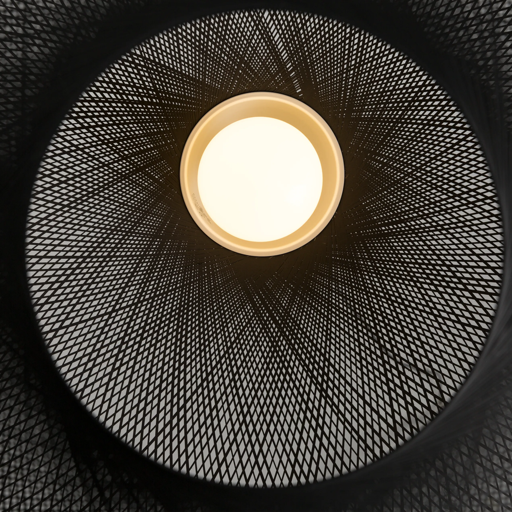 Close-up of a Non Random pendant light with a black mesh design