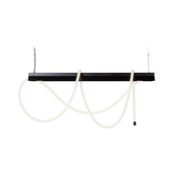 Tubelight Linear Suspension Light from Moooi with 500cm tube